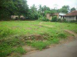  Residential Plot for Sale in Kalmandapam, Palakkad