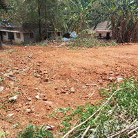  Residential Plot for Sale in Sreekrishnapuram, Palakkad
