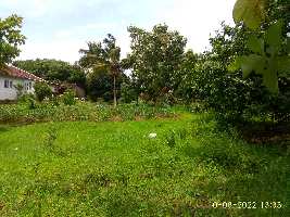  Agricultural Land for Sale in Vadakkencherry, Palakkad