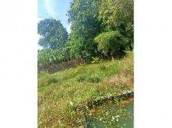  Commercial Land for Sale in Vadakkanthara, Palakkad
