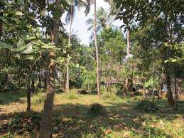  Residential Plot for Sale in Elappully, Palakkad