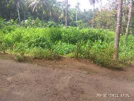  Residential Plot for Sale in Kuzhalmannam, Palakkad