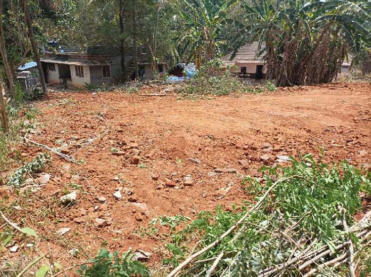 Agricultural Land for Sale in Mannarkkad, Palakkad (REI1108679)