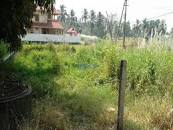 Residential Plot 7 Cent for Sale in Kootupatha, Palakkad