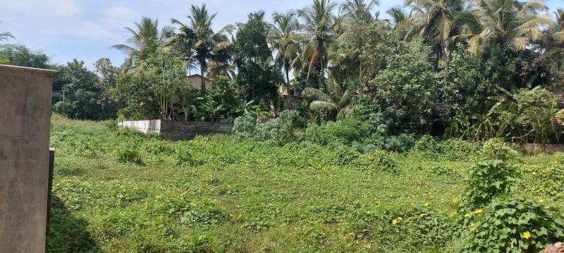 Residential Plot 15 Cent for Sale in Chittur, Palakkad