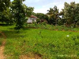  Residential Plot for Sale in Puthur, Palakkad