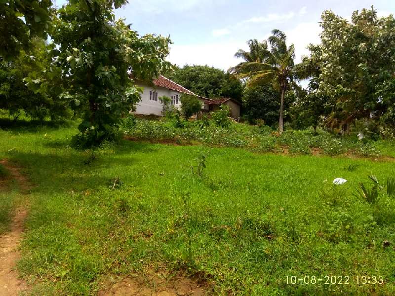 Residential Plot 15 Acre for Sale in Puthur, Palakkad