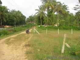 Residential Plot 15 Cent for Sale in Puthur, Palakkad