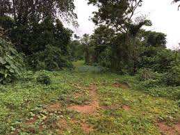 Residential Plot 21 Cent for Sale in Puduppariyaram, Palakkad