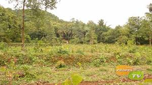 Residential Plot 33 Cent for Sale in Manapullikavu, Palakkad