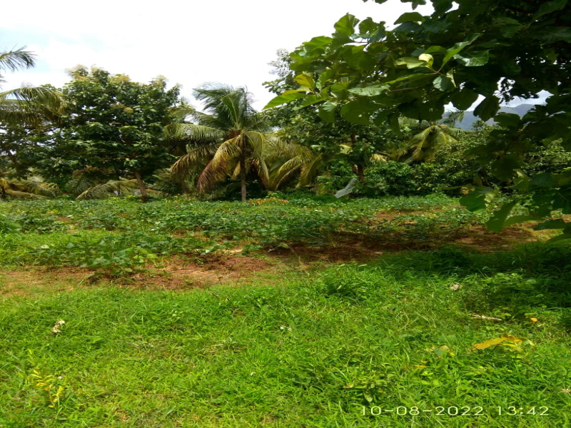 Residential Plot 5 Cent for Sale in Puthur, Palakkad