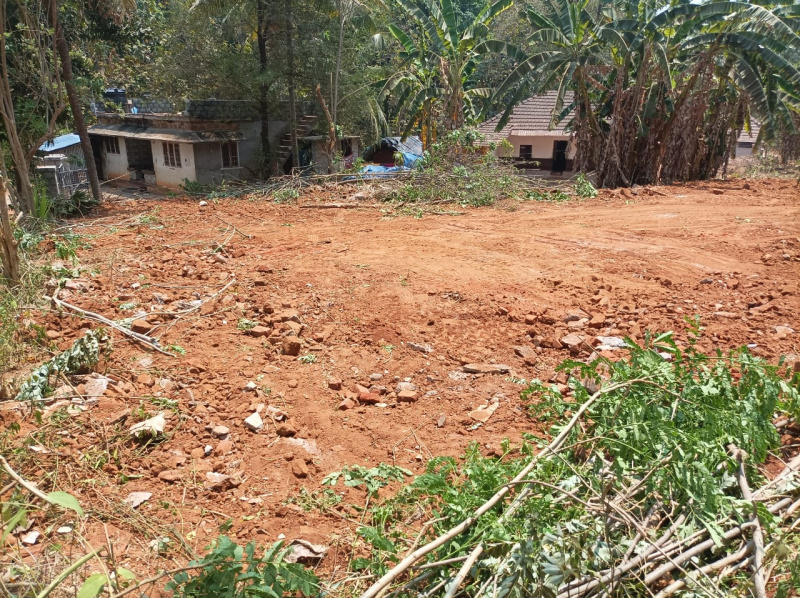 Residential Plot 110 Cent for Sale in Kollengode, Palakkad