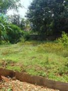 Residential Plot 100 Cent for Sale in Pattambi, Palakkad