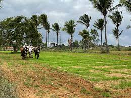  Agricultural Land for Sale in Nagondanahalli, Bangalore