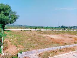 Agricultural Land 37 Acre for Sale in