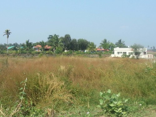Residential Plot 50 Cent for Sale in