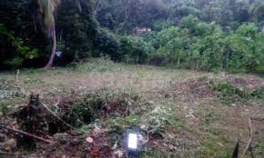 Agricultural Land 230 Cent for Sale in Vadakkencherry, Palakkad