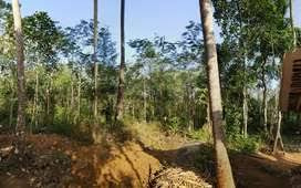 Residential Plot 25 Cent for Sale in