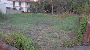 Residential Plot 45 Cent for Sale in Pathirippala, Palakkad