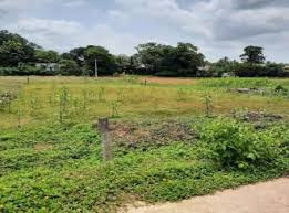 Residential Plot 35 Cent for Sale in Pattambi, Palakkad