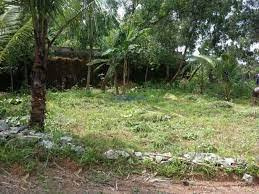 Commercial Land 40 Cent for Sale in Nallepilly, Palakkad
