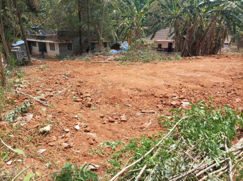  Residential Plot for Sale in Kanjikode, Palakkad