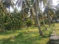 Agricultural Land 1 Acre for Sale in Kongad, Palakkad