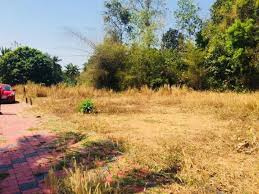 Residential Plot 50 Cent for Sale in Ottapalam, Palakkad
