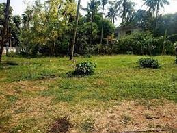 Residential Plot 9 Cent for Sale in