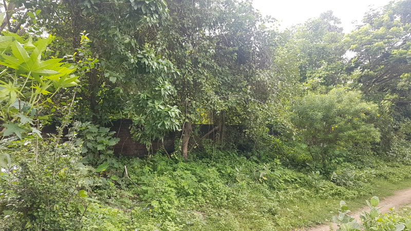 Residential Plot 956 Sq.ft. for Sale in Ottapalam, Palakkad
