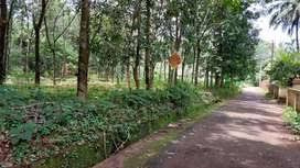 Commercial Land 40 Cent for Sale in Chittur, Palakkad