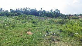 Residential Plot 15 Sq.ft. for Sale in Olavakkode, Palakkad