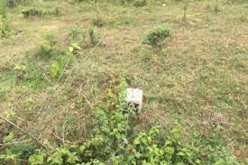 Residential Plot 5 Cent for Sale in Ottapalam, Palakkad