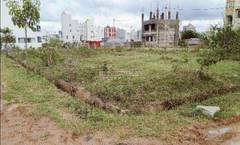  Residential Plot for Sale in Olavakkode, Palakkad