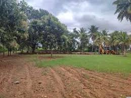 Agricultural Land 2 Acre for Sale in Kozhinjampara, Palakkad