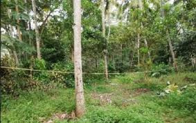 Agricultural Land 170 Cent for Sale in Chittur, Palakkad