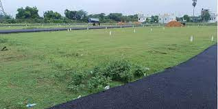  Agricultural Land 53 Ares for Sale in Gollahalli, Bangalore