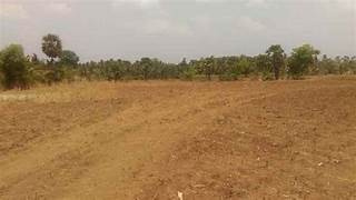  Industrial Land for Sale in Kozhippara, Palakkad