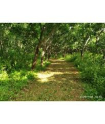  Agricultural Land 72 Acre for Sale in Udumalai/udumalpet, Coimbatore