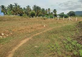  Agricultural Land 1 Acre for Sale in Kozhinjampara, Palakkad