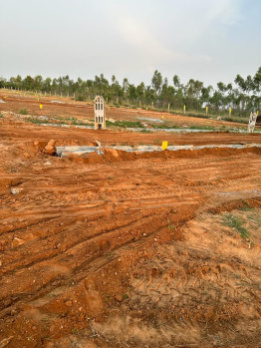  Agricultural Land 1 Acre for Sale in Kozhinjampara, Palakkad