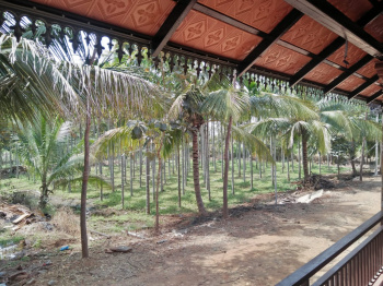  Agricultural Land for Sale in Berigai, Krishnagiri