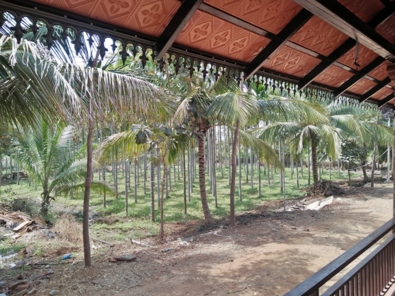  Agricultural Land 10890 Sq.ft. for Sale in Berigai, Krishnagiri