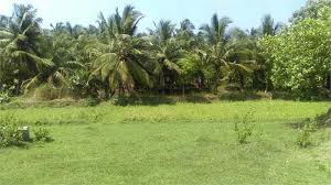  Residential Plot 5 Cent for Sale in Kozhinjampara, Palakkad