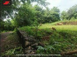  Residential Plot 6 Cent for Sale in Pollachi, Coimbatore