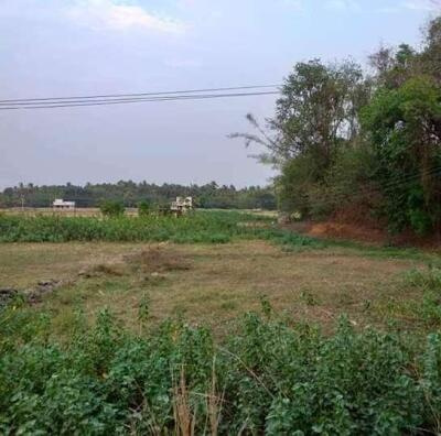  Agricultural Land 240 Sq.ft. for Sale in Kanjikode, Palakkad