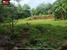  Agricultural Land 240 Sq.ft. for Sale in Kanjikode, Palakkad