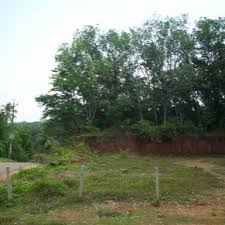  Commercial Land 11 Cent for Sale in Vadakkencherry, Palakkad