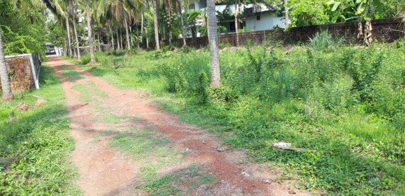  Residential Plot 415 Cent for Sale in Vadakkencherry, Palakkad