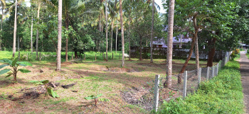  Commercial Land 30 Cent for Sale in Kallekkad, Palakkad